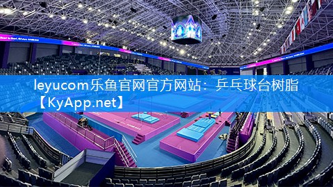 乒乓球台树脂 乒乓球台树脂